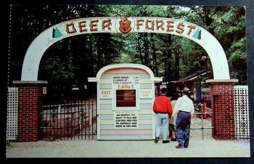 Deer Forest - PHOTOS FROM OLD PARK WEBSITE